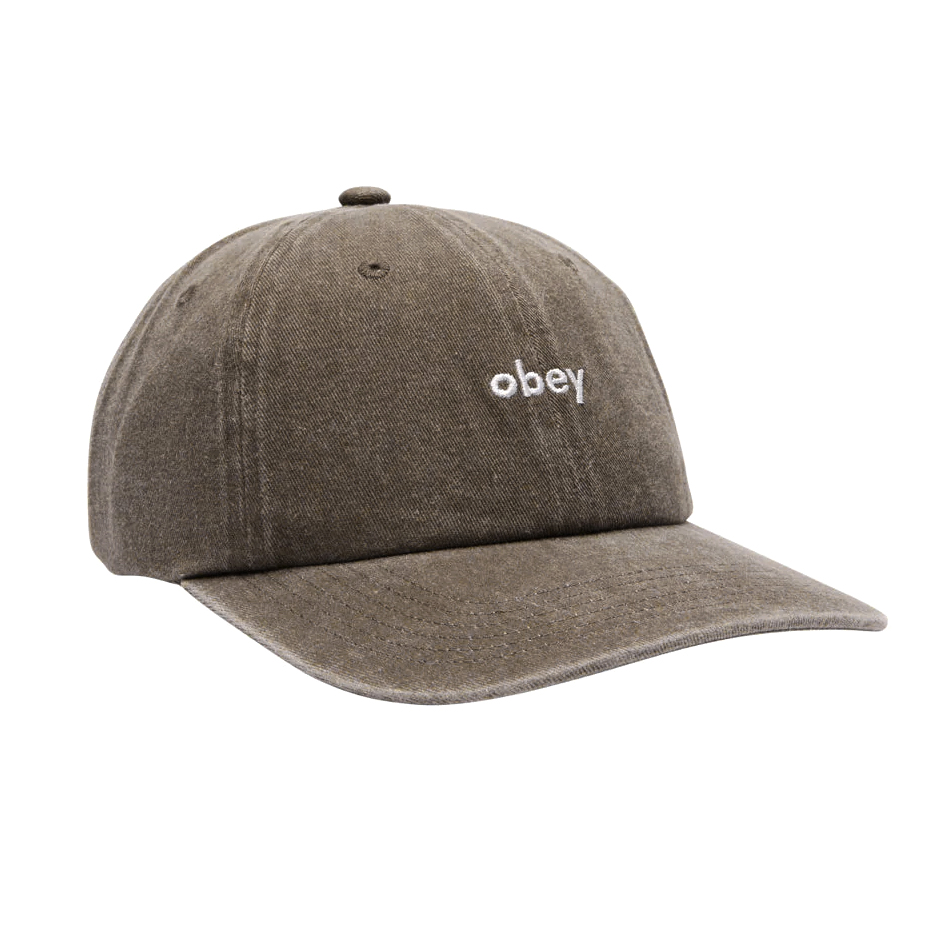 Pigment Lowercase 6 Panel Cap - Olive